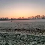 Biesboschbest
