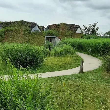 Biesboschbest Bed & Breakfast