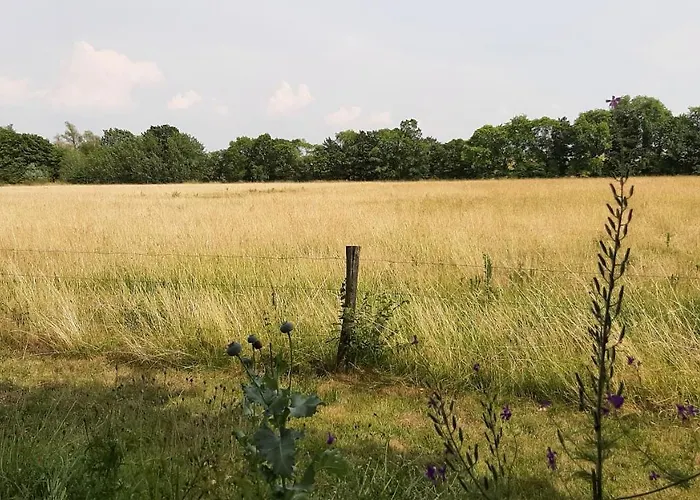 Nocleg ze śniadaniem Biesboschbest 3*