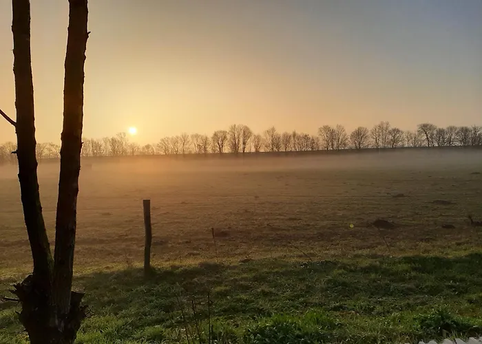 住宿加早餐酒店 Biesboschbest 3*