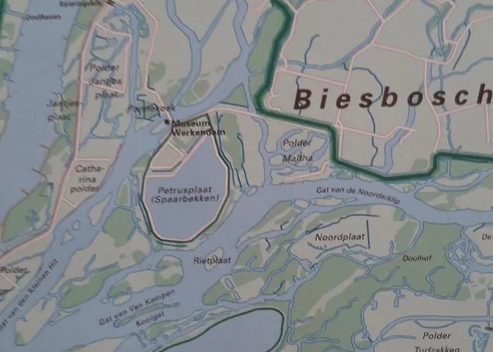Biesboschbest