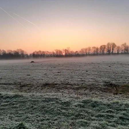 Biesboschbest