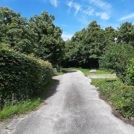 לינה וארוחת בוקר Biesboschbest 3*