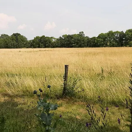 Bed & Breakfast Biesboschbest 3*