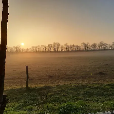 Bed & Breakfast Biesboschbest *