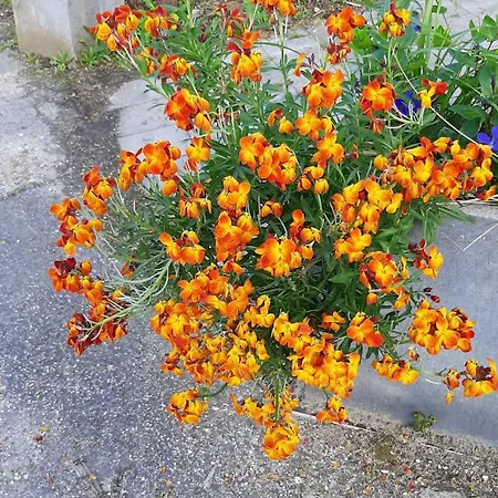 Bed & Breakfast Biesboschbest Werkendam