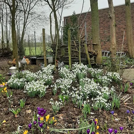 Biesboschbest Bed & Breakfast