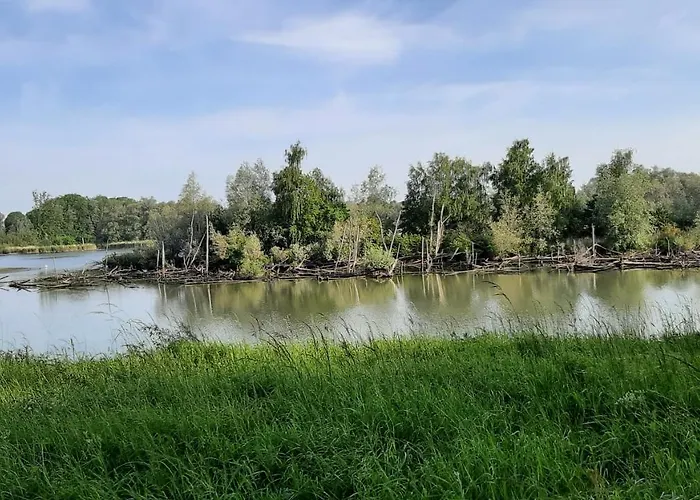 Biesboschbest Alojamento de Acomodação e Pequeno-almoço