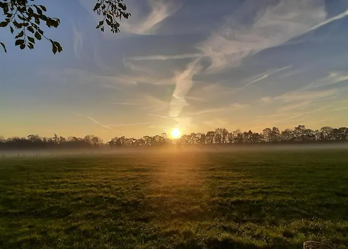 Biesboschbest Bed & Breakfast