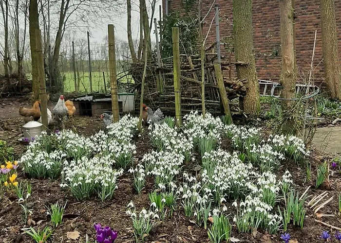 Biesboschbest Bed & Breakfast